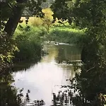 Rosmarin Bad Zwischenahn