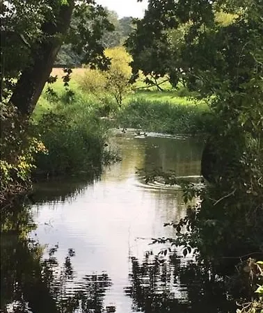 Rosmarin Bad Zwischenahn