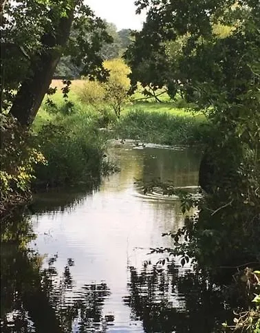 Rosmarin Garni Bad Zwischenahn